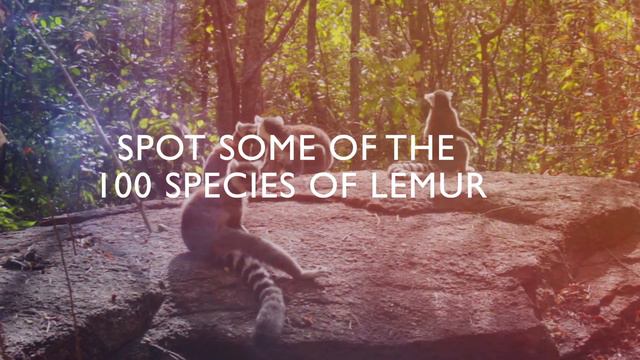 Experts in Madagascar | Madagascar Adventure Tours смотреть онлайн