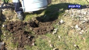 Как избавиться от кротов в саду, на огороде  How to get rid of moles in the garden and the garden