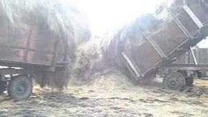 Возим Сено