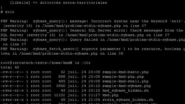 Php cmd shell class using ncurses