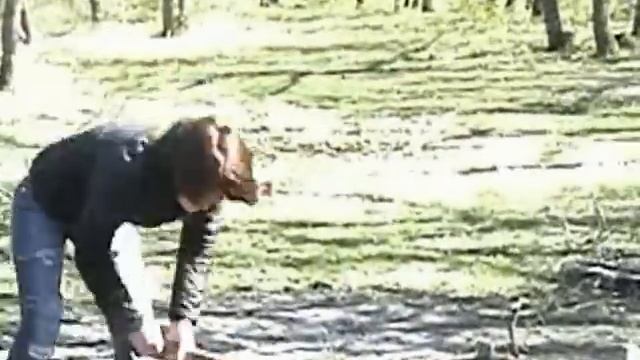 Moldavia 2007 - ALA смотреть онлайн