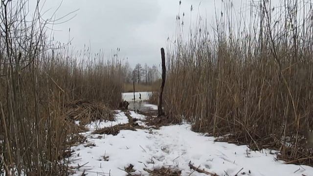 Строю рыболовные подмости на озере ГНИЛОЕ (часть 2) #втренде