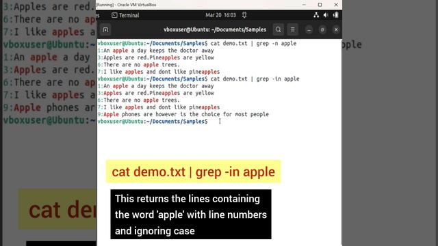 Linux Tutorial:12- Search for words in a file using grep command #shristitechacademy #linuxbasics