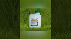 ИНСЕКТИЦИДЫ которые работают 100%