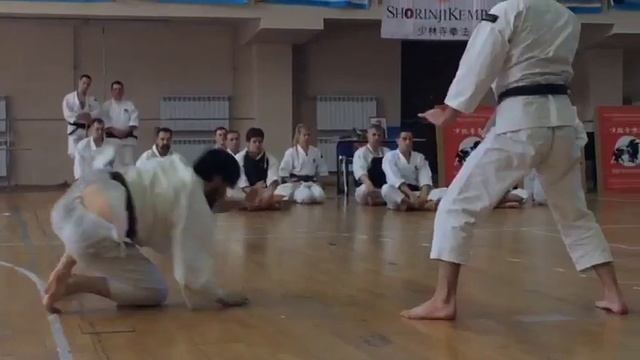 Сёриндзи Кэмпо: Техника дзю-хо. Валерий Карибьян | Shorinji Kempo Ju-ho by Valeriy Karibyan 少林寺拳法