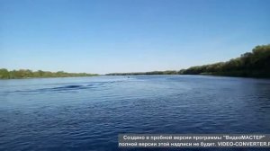 Вятбот 430 М Mercury F25ELPT EFI