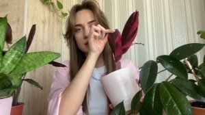 ?МОЯ КОЛЛЕКЦИЯ КОМНАТНЫХ РАСТЕНИЙ | Часть 2 | Обзор Комнатных Растений | Домашние Цветы 2022