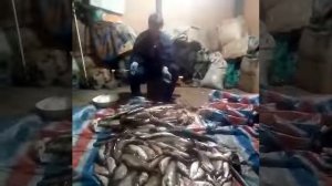 Слёзы жены после рыбалки мужа ..