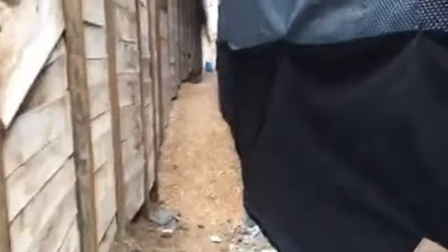 Хидроизолация в основи с полимер-битумни мембрани. смотреть онлайн