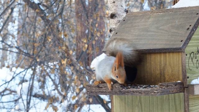 Olympus E-M1 II sample смотреть онлайн