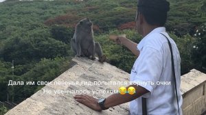 Влог: стюардесса Emirates 24 часа на Бали | 6 месяцев в авиакомпании, graduation , все крю модели?