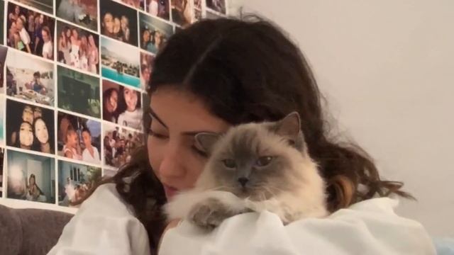 HOW TO FEEL BETTER ON A BAD DAY. смотреть онлайн