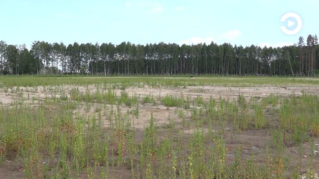В Пензе для захоронений рядом с Восточным кладбищем открыт новый участок смотреть онлайн