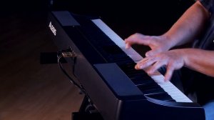 Alesis Prestige - All Playing, No Talking