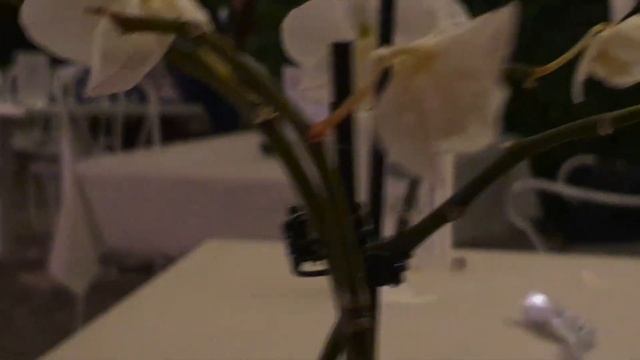 Италия Падуя конкурс итальянок 33-51 лет в Villa Italia. вечерние платья,купальники