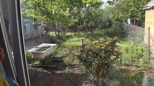 Возможно, вы не знали об этих минусах кухонной мойки у окна