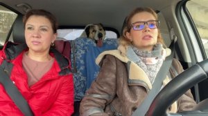 133 Переезд из РК в РФ. Дурная поездка в Тюмень ! Тюменская обл., мы в Сибири! Купили дом! Ялуторовс