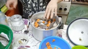 ПАШТЕТ ИЗ РЕЧНОЙ РЫБЫ ПЛОТВЫ!!! В СКОРОВАРКЕ.???