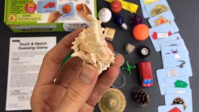 Наполнение для сенсорной коробки Lakeshore смотреть онлайн