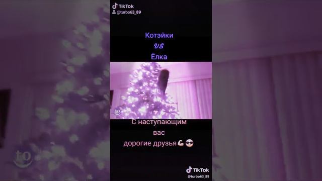 Коты празднуют НОВЫЙ ГОД !!!🥳🥳🥳🥳🥳🥳🥳🥳🥳🥳