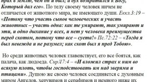 635. Как связаны рождение во Христе и крещение?