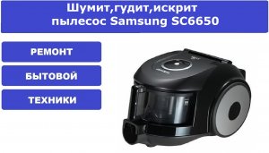 Шумит,гудит,искрит пылесос Samsung SC6650