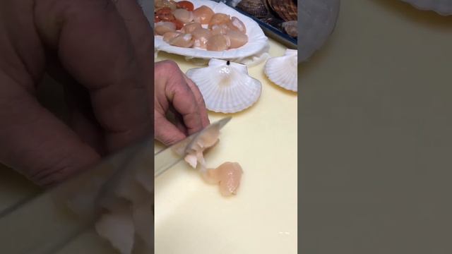 Sashimi made from live scallops| 用活扇贝做成的生鱼片| Cашими из живых гребешков