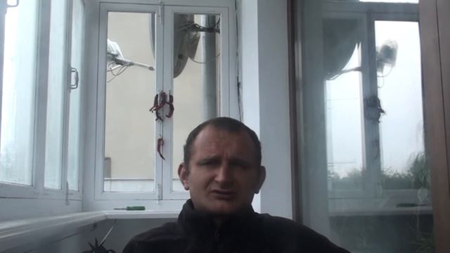 Уход за виноградом с весны до осени. смотреть онлайн