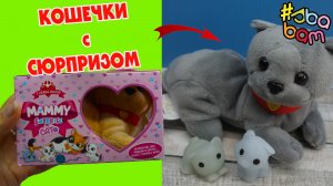 КОШКИ с КОТЯТАМИ. Открываем сюрпризы от СБАБАМ. Игрушки-антистрессы от  Sbabam
