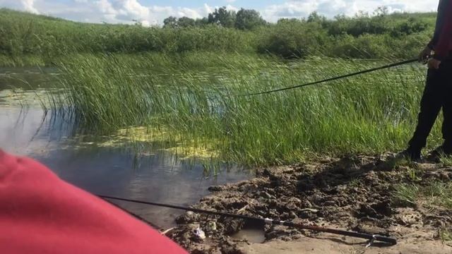Рыбалка в ЗКО, ловля окуня щуки беляшек смотреть онлайн