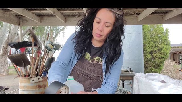 Planting seeds using a milk jugusing rooting hormones to clone Petunias 