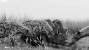 Доисторические Животные, Которые Страшнее Динозавров