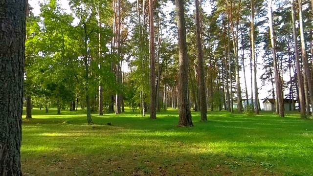 Санаторий 