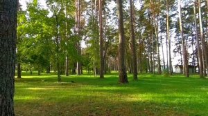Санаторий "Голубые озера"...