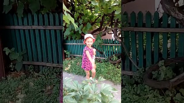 Справжня сільська полька!) смотреть онлайн