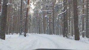 Лада 4х4/Зимние или всесезонные шины на Ниву? Шины на Ниву зимой/Lada 4x4
