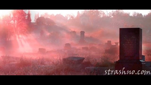Ночная «прогулка» по кладбищу