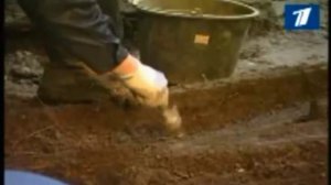 Монолог солдата из братской могилы   Николай Анисимов