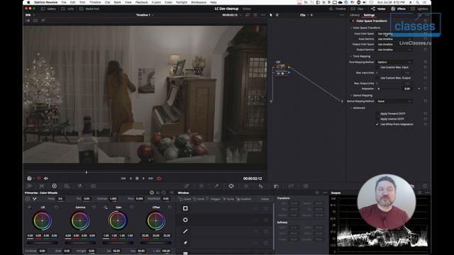 Клинап в DaVinci Resolve на закладке Color. Мастер-класс (2024)