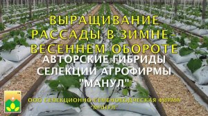 Выращивание рассады в зимне-весеннем обороте. Авторские гибриды огурца Агрофирмы "Манул"