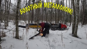 СВЕТА ПРИТЯГИВАЕТ МЕТАЛЛ КАК МАГНИТ! ОПЯТЬ ОНА МЕНЯ УДИВИЛА! КОП МЕТАЛЛА!