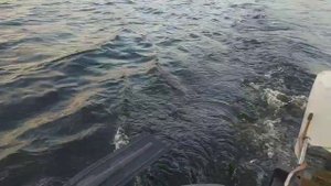 Лодочный мотор от гироскутера, часть 2, по Волге.