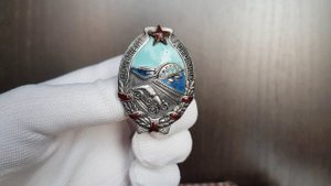 Фалеристика. Знак. Почётный дорожник №1592.