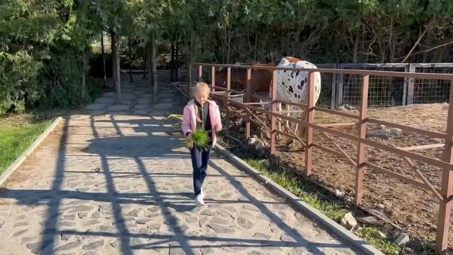 ДЕЛЬФИНАРИЙ, ЗООПАРК, КОНСТАНЦА , Румыния смотреть онлайн