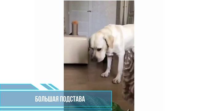 Большая подстава смотреть онлайн