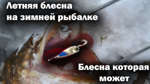 Эта БЛЕСНА сделала РЫБАЛКУ! Косит ЩУК | Ловля щуки зимой