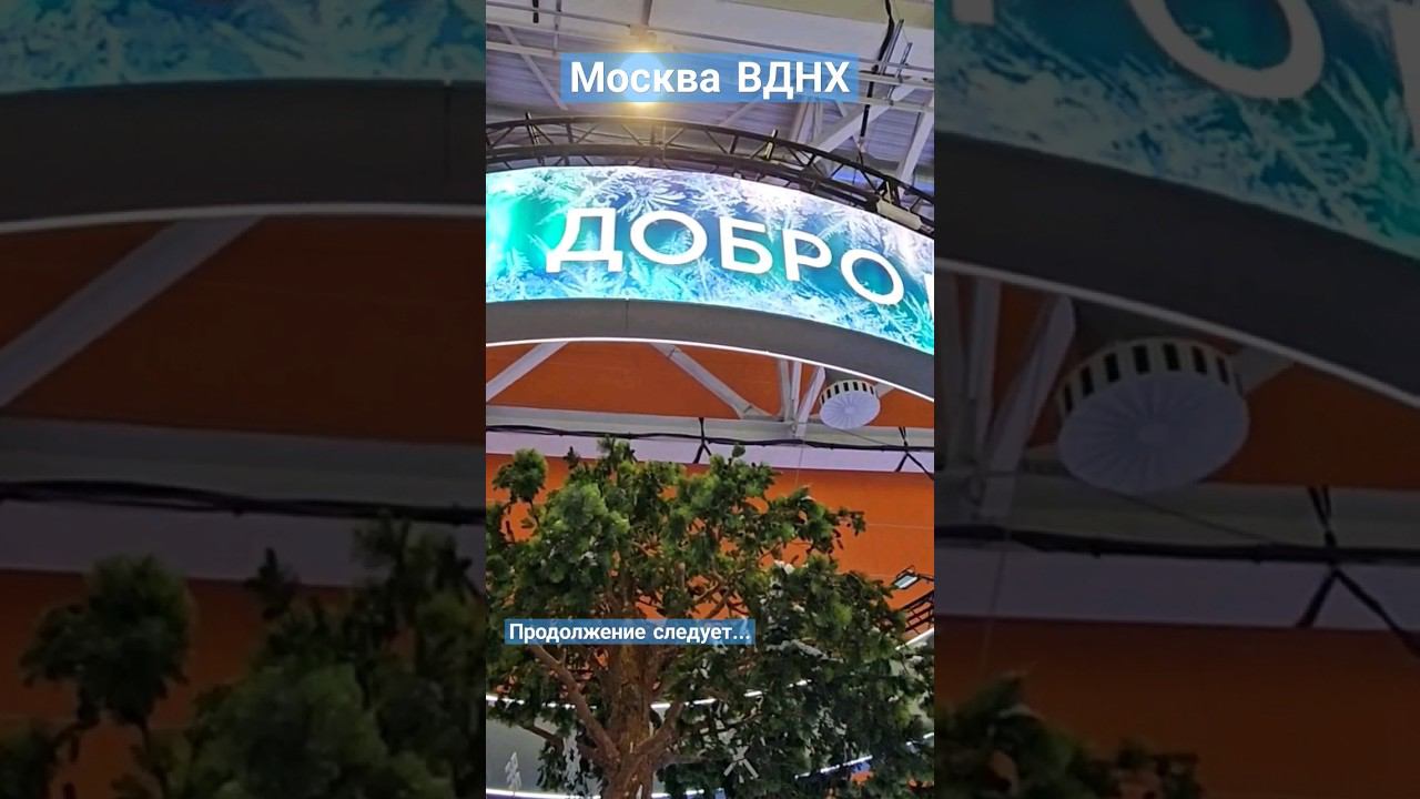 ВДНХ Республика Коми #пешкомпомиру #пешкомпогороду ##пешкомпомоскве #пешкомпороссии #ВДНХ