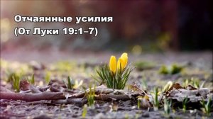 Тихое время с Живой Жизнью: от Луки 19:1–10 (23032017)