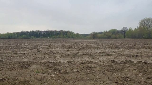 КОП 2023. GAUSS MD ЗНАЙШОВ ЦІКАВІ ЗНАХІДКИ. КОПНУЛИ МОНЕТ В НЕ ПОГАНОМУ СОХРАНІ. #копмонет2023 #коп смотреть онлайн