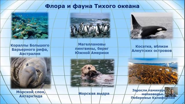 Физико-географическая характеристика Мирового океана. Филобок Анатолий Анатольевич. 7 класс. смотреть онлайн